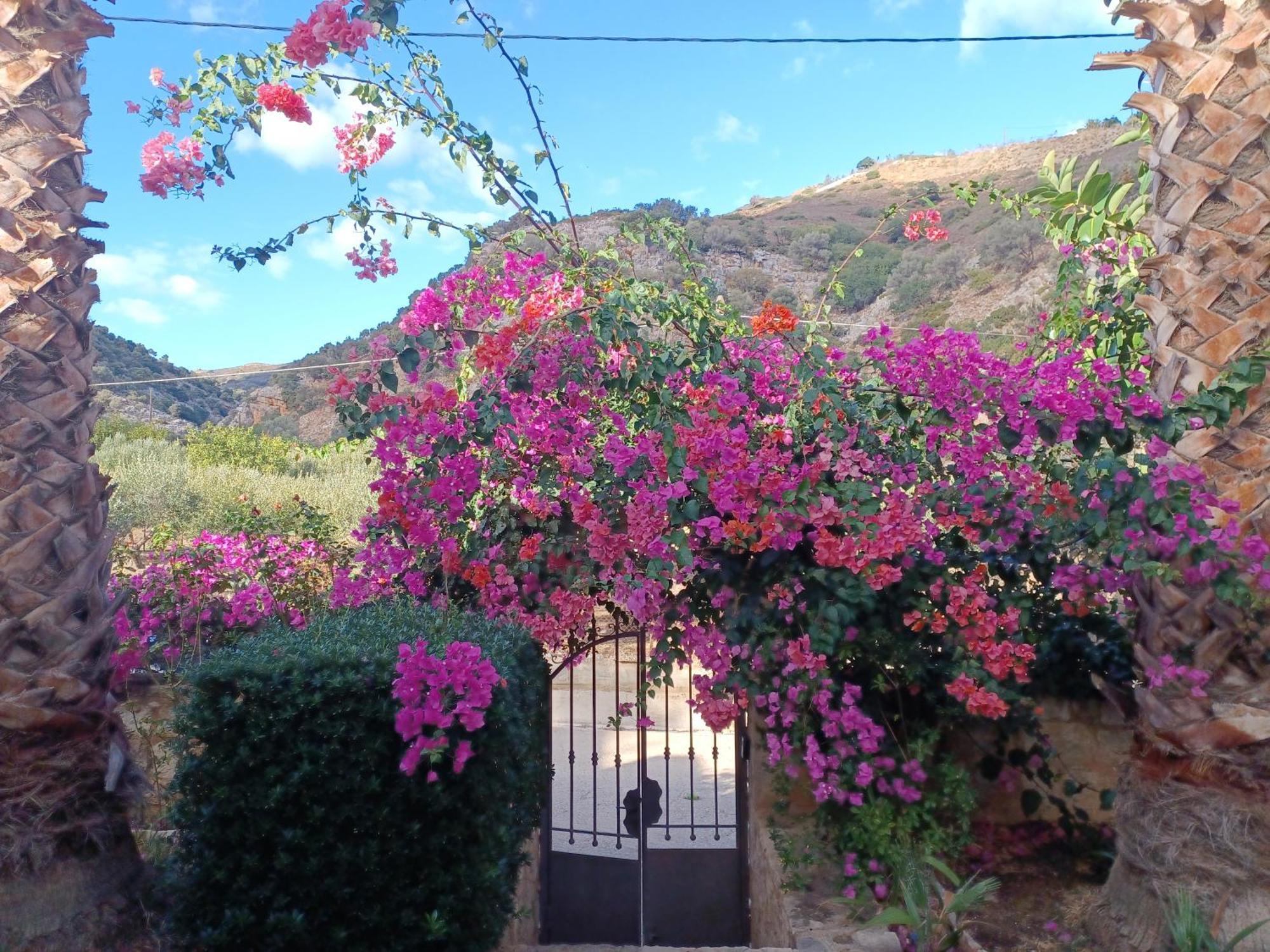 Heraklion Comfy House With Mountain View Luaran gambar