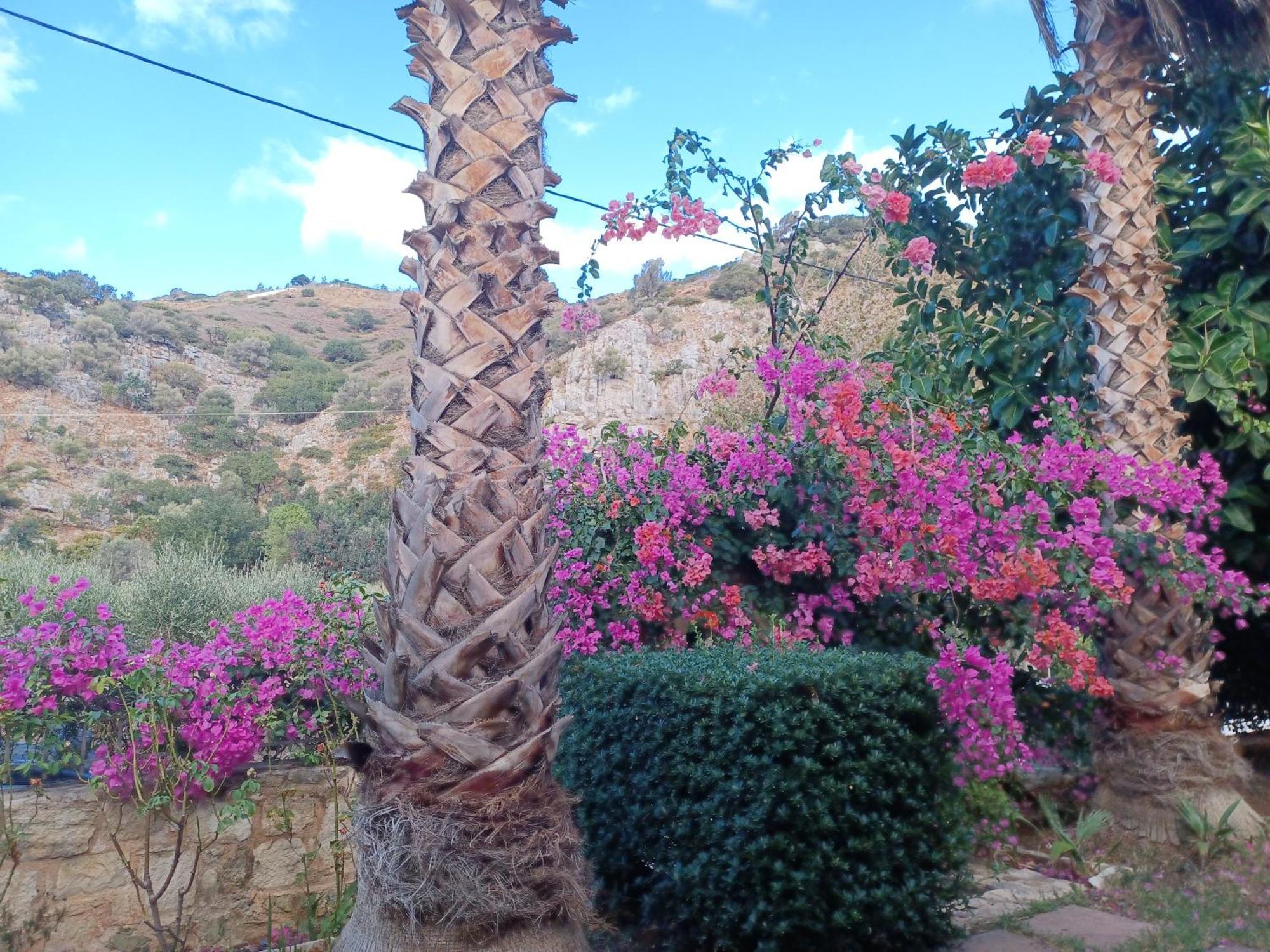 Heraklion Comfy House With Mountain View Luaran gambar